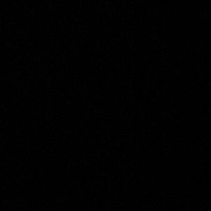 Meet your Posher, Rowan